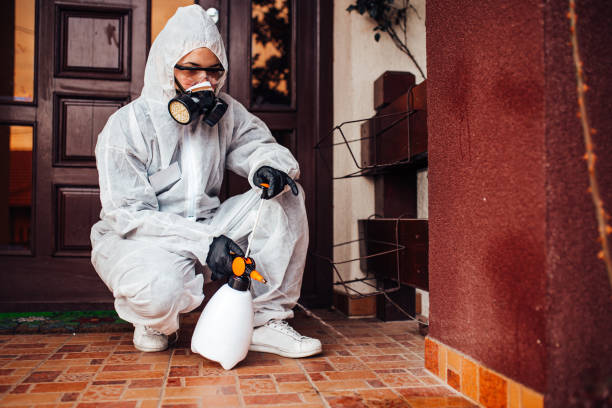 Reliable Bed Bug Control contractor in Stallion Springs, CA by Nex Pest Control